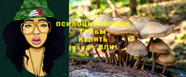 дурь Алексеевка