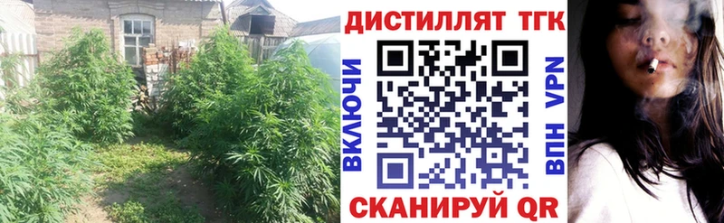 ссылка на мегу вход  что такое   Березники  Дистиллят ТГК гашишное масло 