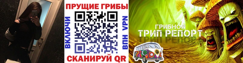 ссылка на мегу зеркало Березники Псилоцибиновые грибы мицелий